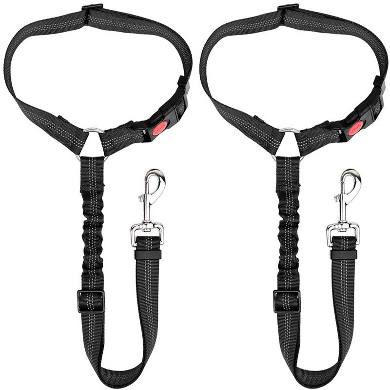 Protective Car Leash