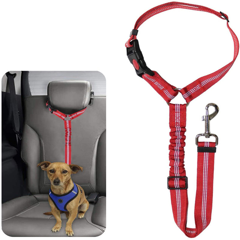 Protective Car Leash