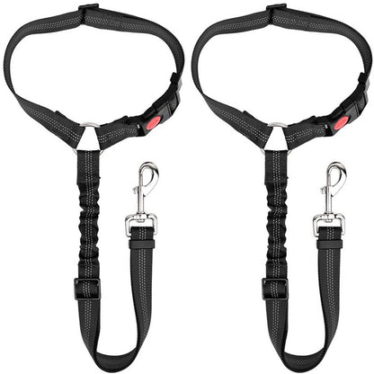 Protective Car Leash