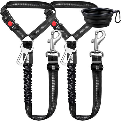 Protective Car Leash