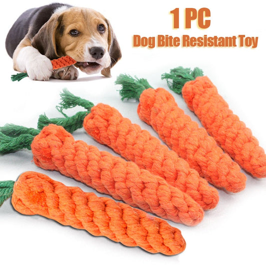 Cartoon Dog Chew Toys