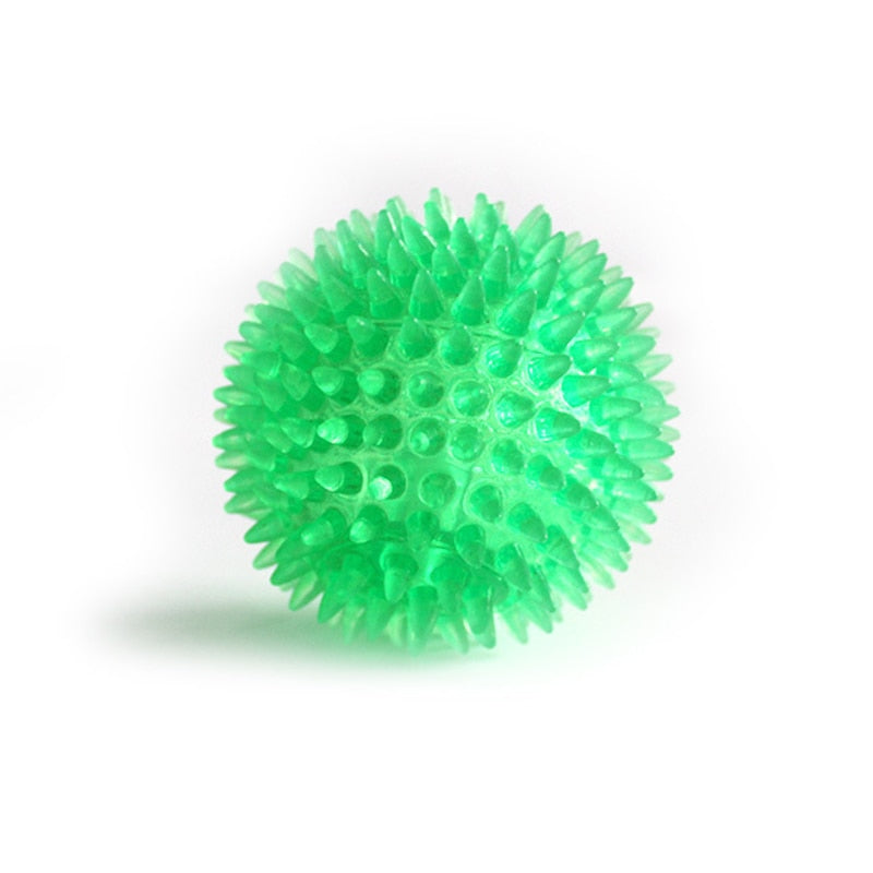 Squeaky Teeth Cleaning Ball