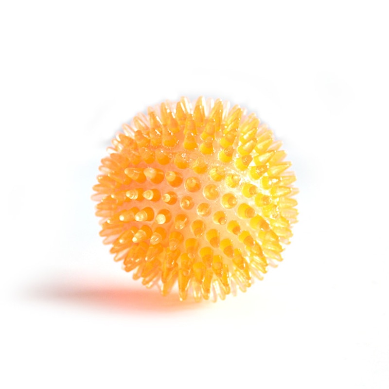 Squeaky Teeth Cleaning Ball