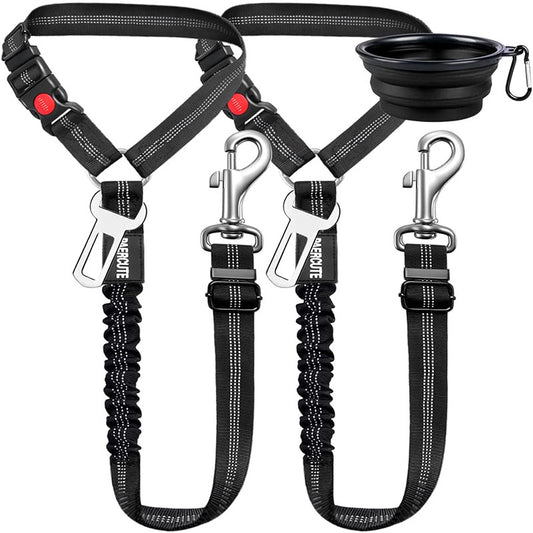 Protective Car Leash