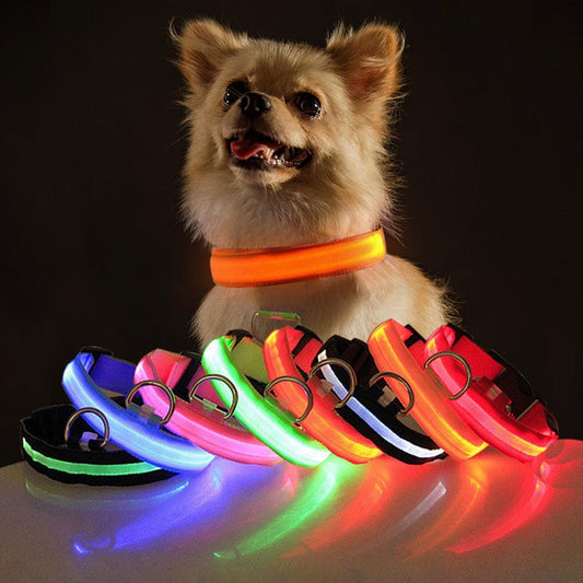 SafePooch LED Dog Collar