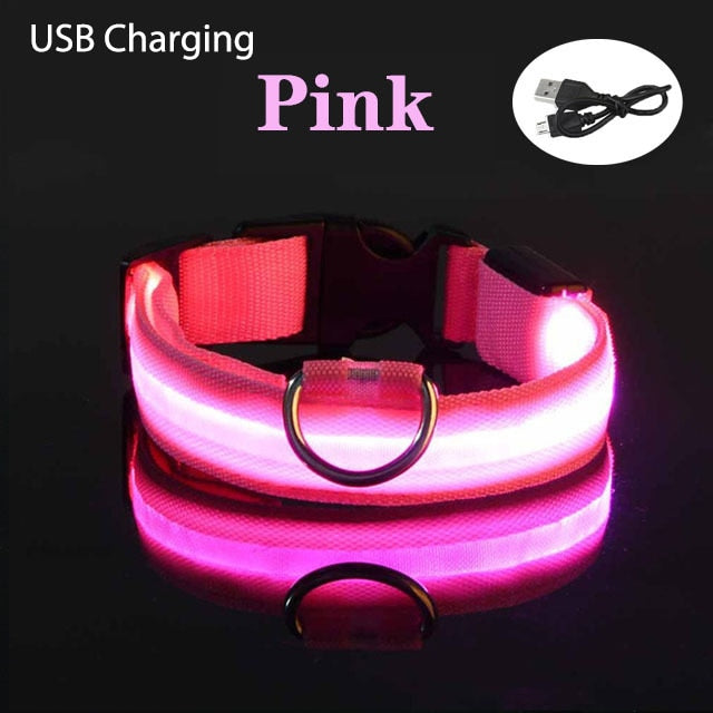 SafePooch LED Dog Collar
