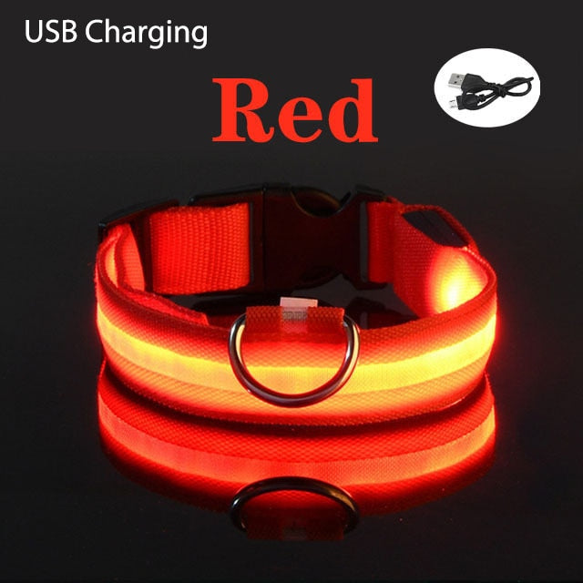 SafePooch LED Dog Collar