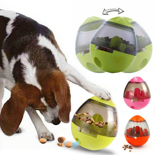 Rolly Fun Pet Feeder